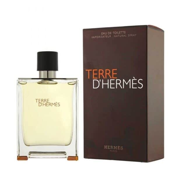Hermès Terre D'Hermès perfume bottle and box, 100ml, for men.