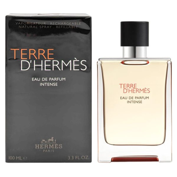 Hermes Terre D'hermes EDP Intense 100 ml - Unisex
